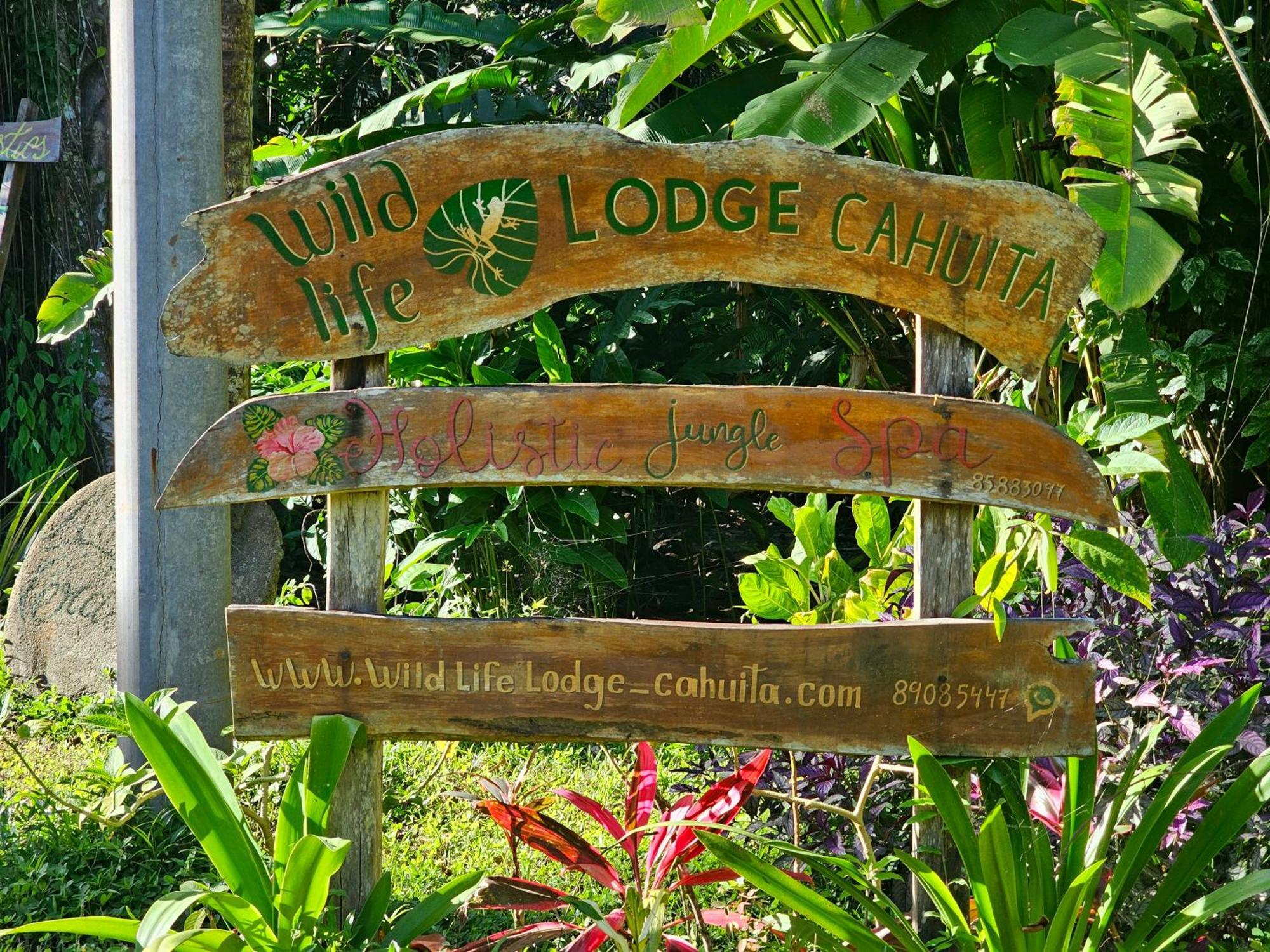 Wildlife Lodge Cahuita Extérieur photo
