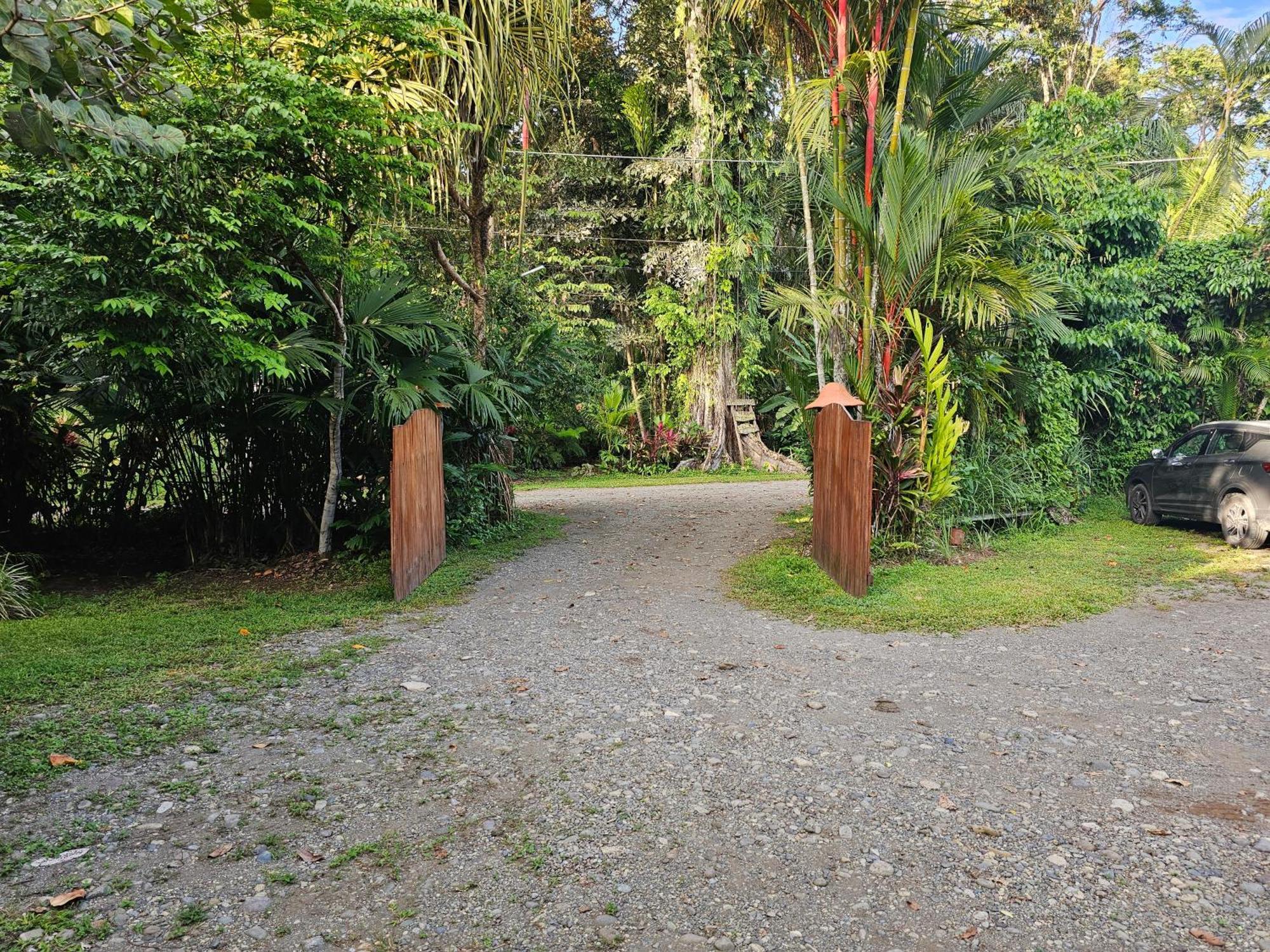Wildlife Lodge Cahuita Extérieur photo