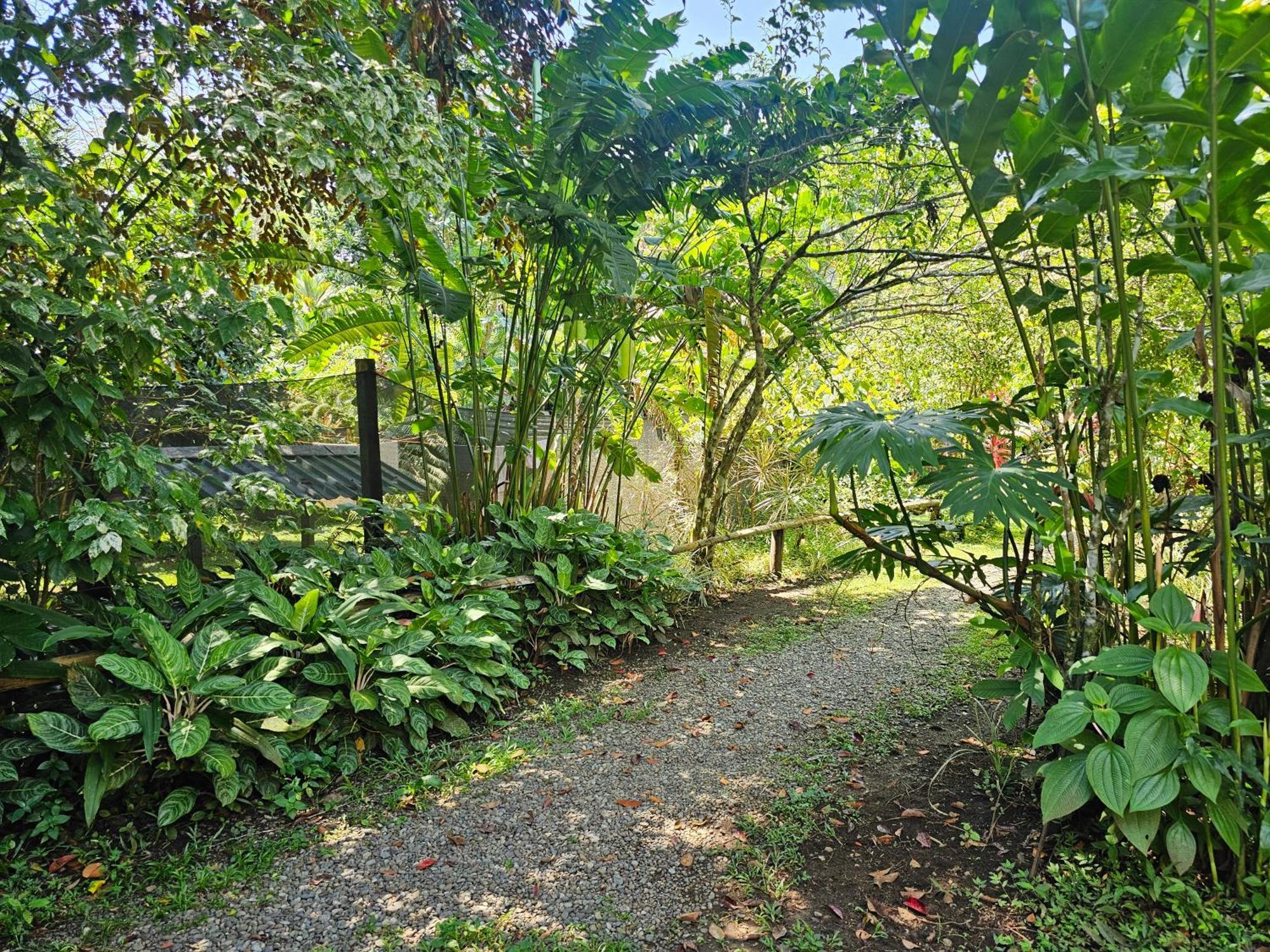 Wildlife Lodge Cahuita Extérieur photo