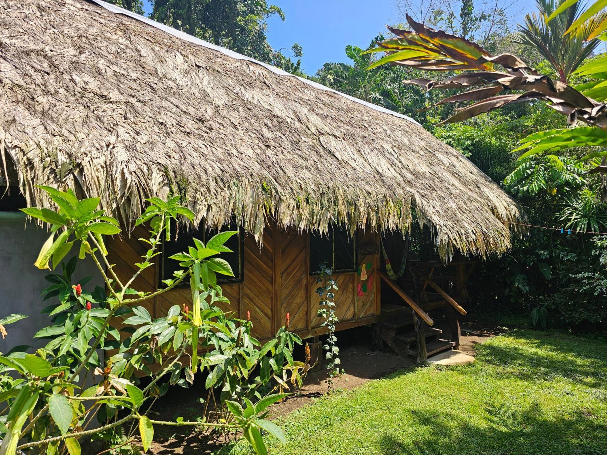 Wildlife Lodge Cahuita Extérieur photo