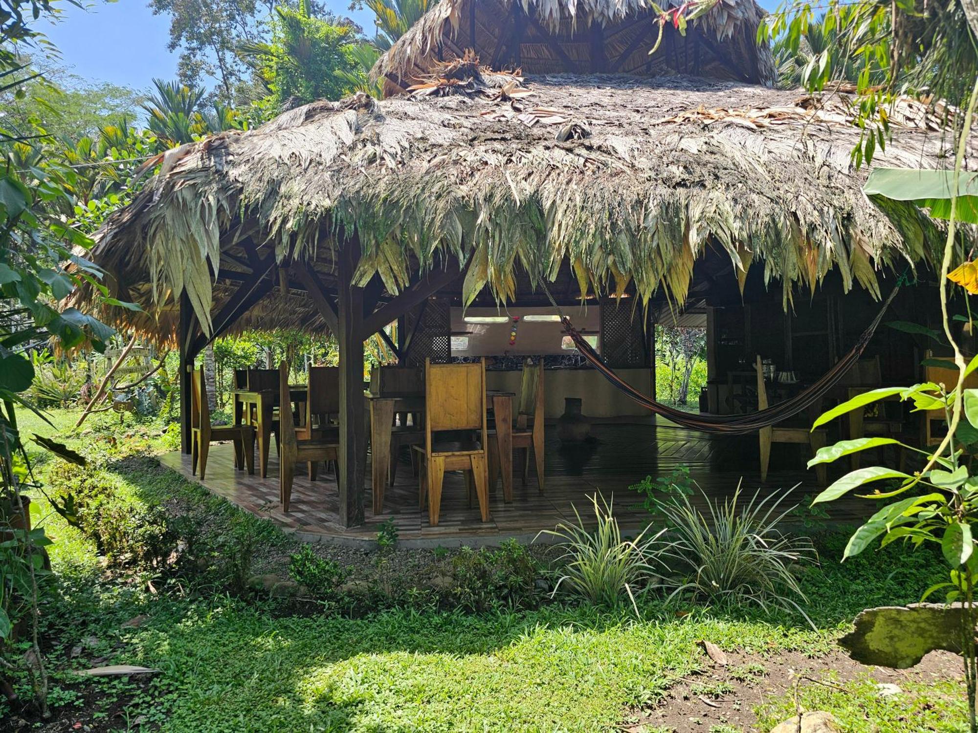 Wildlife Lodge Cahuita Extérieur photo