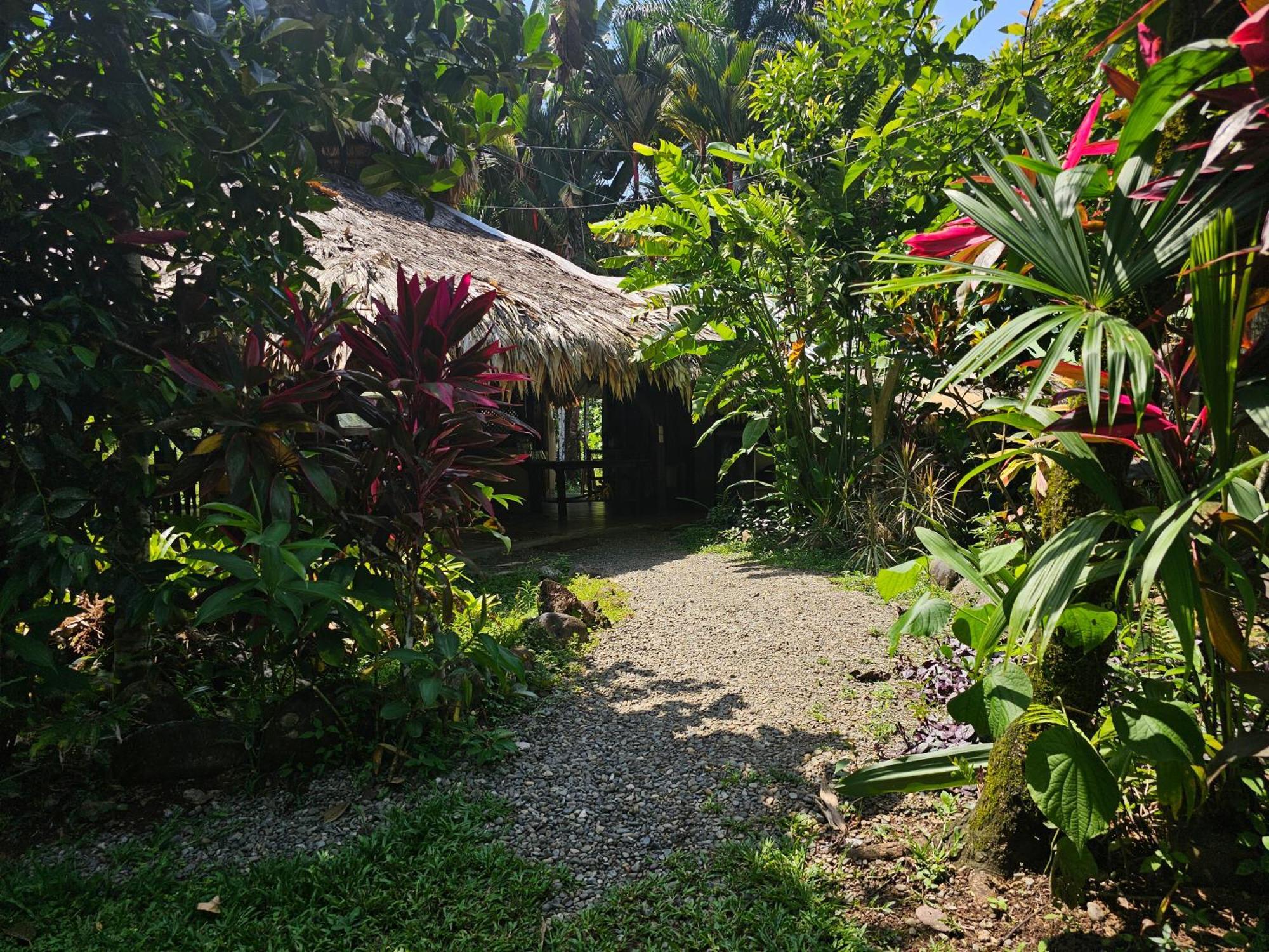 Wildlife Lodge Cahuita Extérieur photo